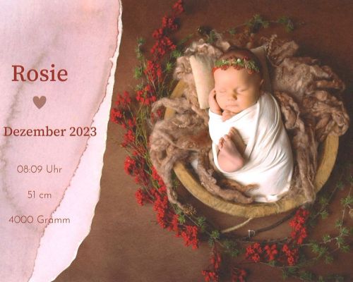 Rosie | geboren am 21.12.2023
